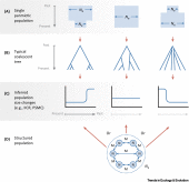 Figure 3 Opens large image